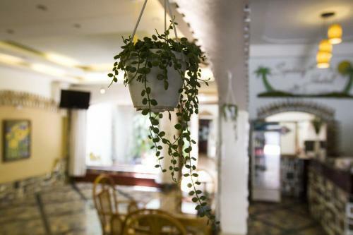 Spring Hotel