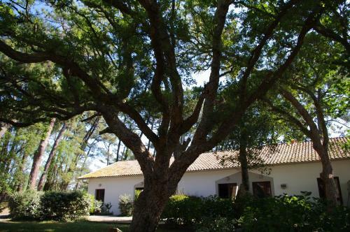 Hotel Cap Oc�an