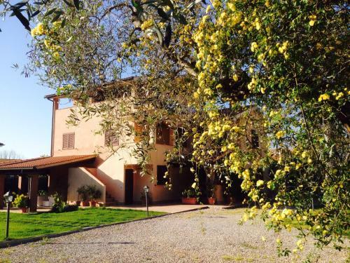 Apartamento Appartamenti Gli Ulivi Di Maremma