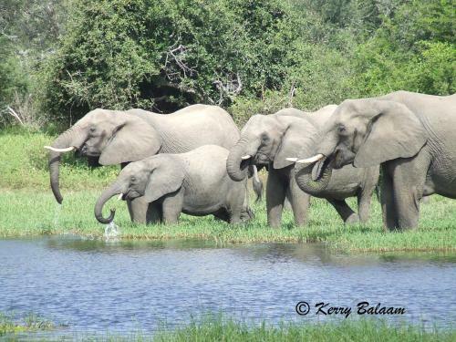 Phumula Kruger Lodge And Safaris