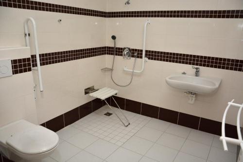 Hotel Z�mek Velk� Byst?ice