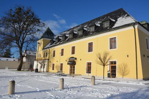 Hotel Z�mek Velk� Byst?ice