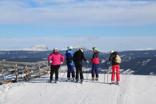 Hotel Gomobu Fjellstue