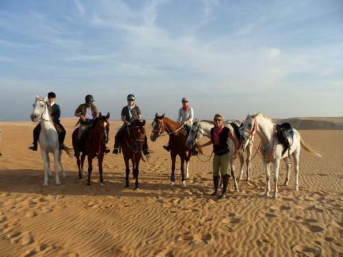 Desert Retreat Camp
