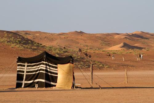 Desert Retreat Camp