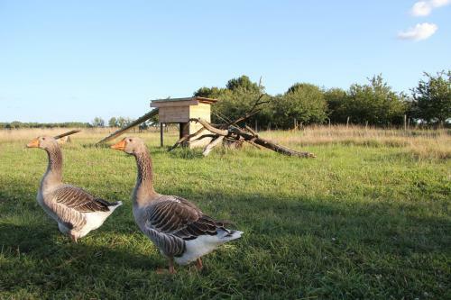 Bed & Breakfast Haute Perche