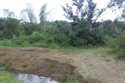 Agroturismo Finca Hoster�a Bella Aurora