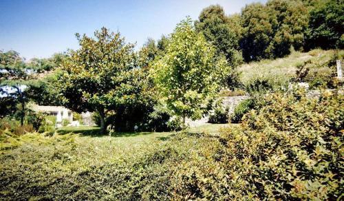 Casa De Campo/cottage "casa Da Cal"