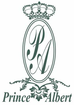 Hotel Prince Albert Lyon Bercy