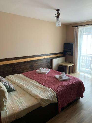 Hostal Pensiunea Haiduc