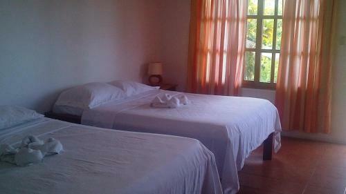 Hotel Three Monkeys