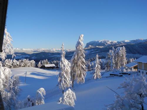 Apartamento Haus Schlernblick
