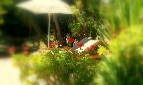 Hostal Malherbe Guesthouse