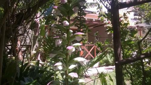 Hostal Malherbe Guesthouse