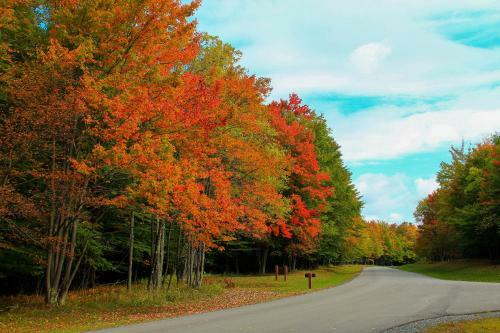 Hotel Canaan Valley Resort State Park