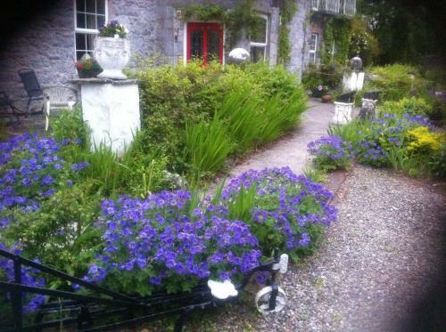 Bed & Breakfast Caheroyn House