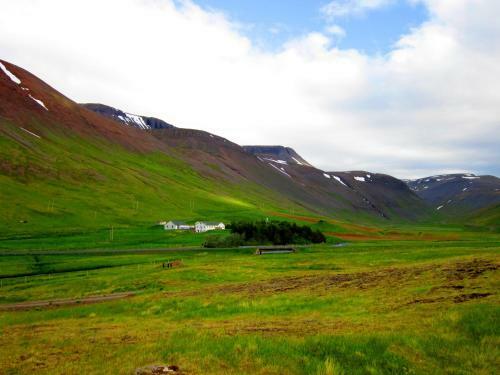 Hostal Guesthouse Kirkjubol In Bjarnardalur