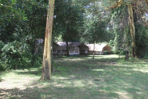 Lodge Oasis Eco Camp