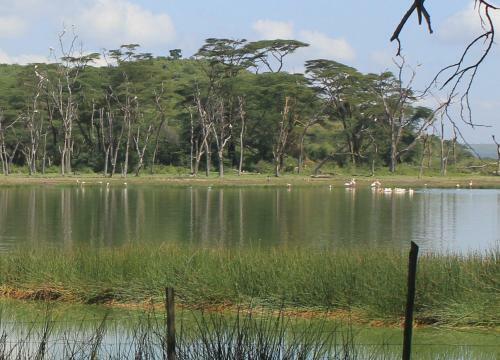 Lodge Oasis Eco Camp