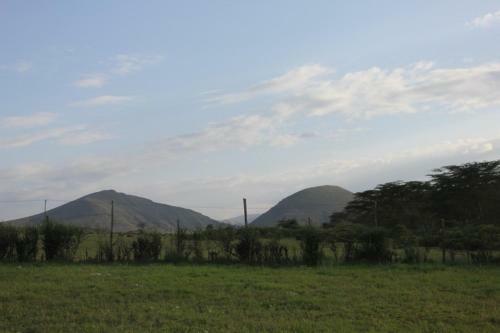 Lodge Oasis Eco Camp
