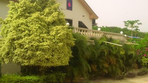 Bed & Breakfast Eden Lodge
