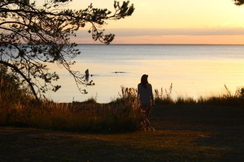 Stf Stora Fr�g�rden Hostel