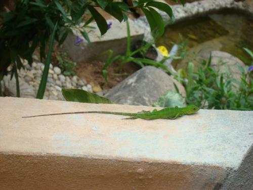 Hotel Casa Bigu