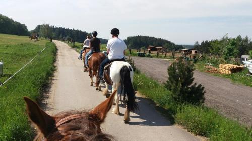 Hostal Q Ranch