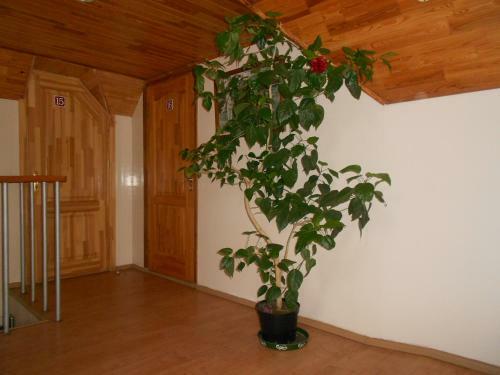 Aparthotel Rugelis