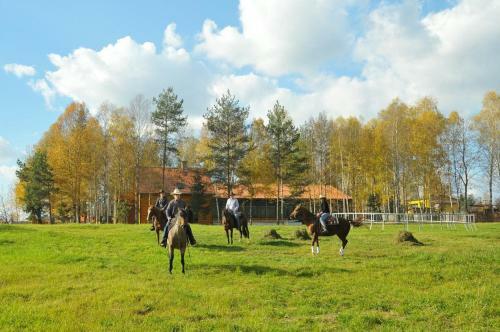 Lucky 5 Ranch