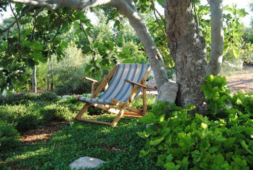 Bed & Breakfast Trulli Gallo Rosso