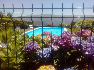Agroturismo Quinta Da Casa Grande Pinheiro