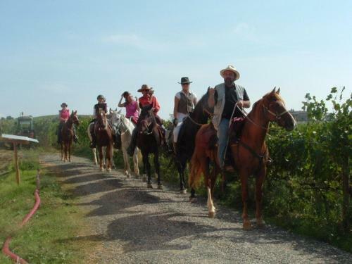 Agroturismo Agriturismo Pian Dei Pini