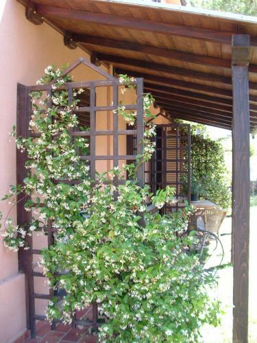 Agroturismo Agriturismo Pian Dei Pini