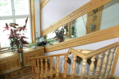 Hostal White Villa