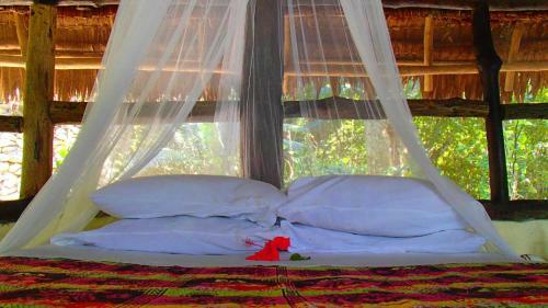 Hotel Tranquility Island Resort