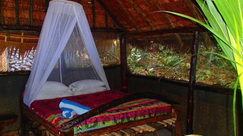 Hotel Tranquility Island Resort