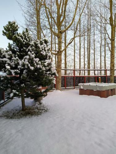 Hestasport Cottages