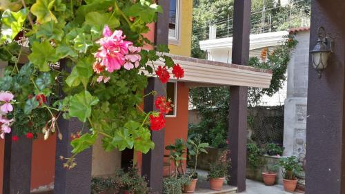 Hotel Los Cofrades