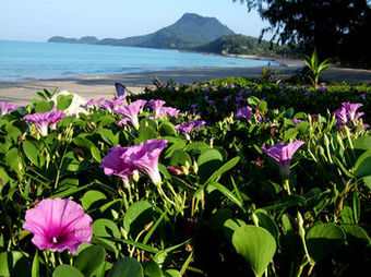 Koh Jum Beach Villas
