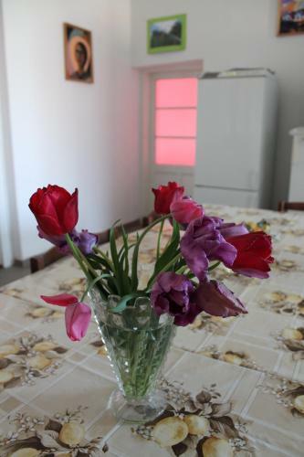 Hostal Peregi Vend�gh�z