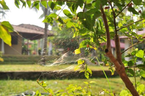 Hotel Soba Lanka Holiday Resort