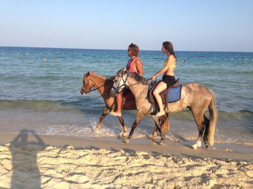 Apartamento Appartement Nabeul