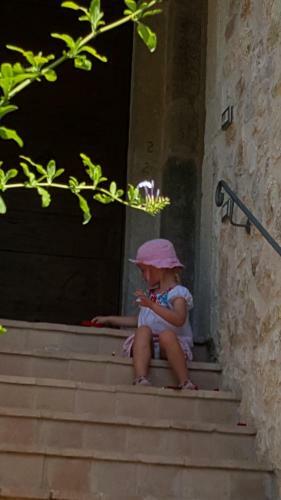 Agroturismo I Terzieri Country House