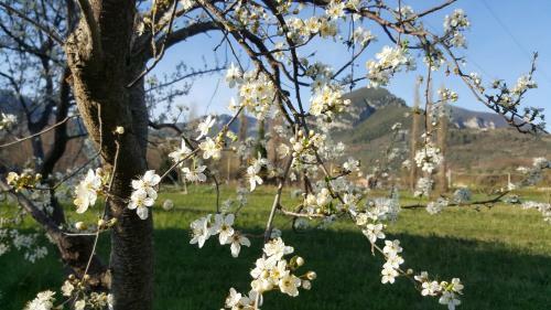 Agroturismo I Terzieri Country House