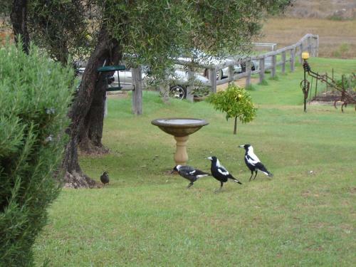 Bed & Breakfast Blackwood Inn Innkeepers House