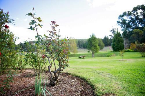 Bed & Breakfast Blackwood Inn Innkeepers House