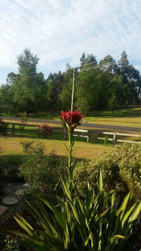 Bed & Breakfast Blackwood Inn Innkeepers House