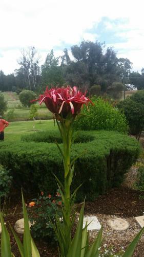Bed & Breakfast Blackwood Inn Innkeepers House