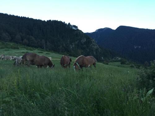 Agroturismo Cal Pedrals